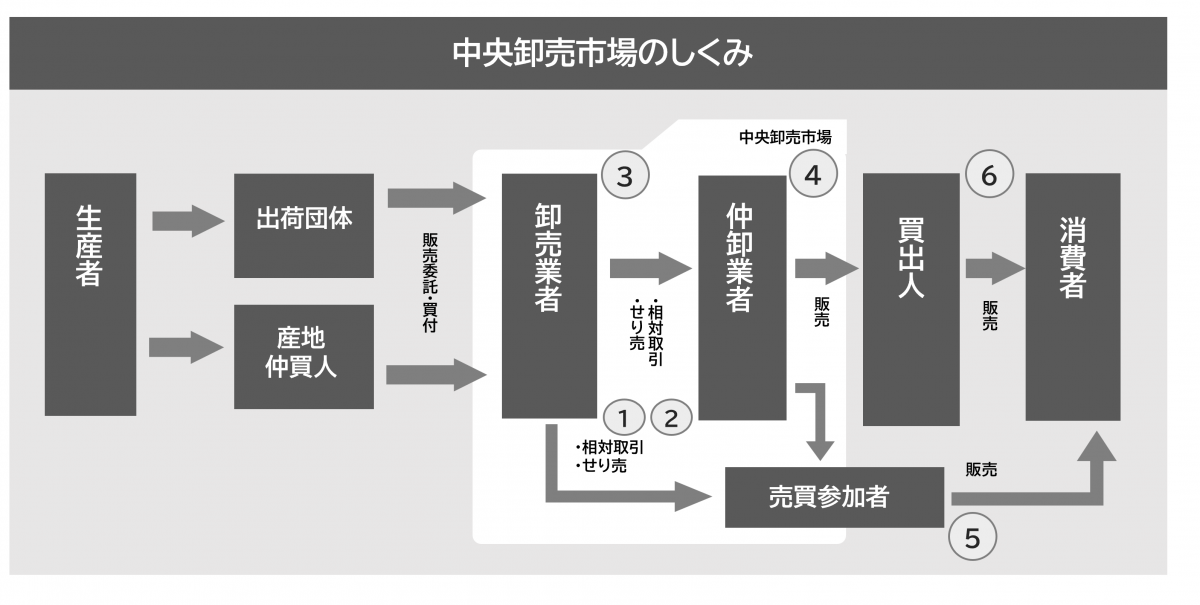 卸売市場のしくみ