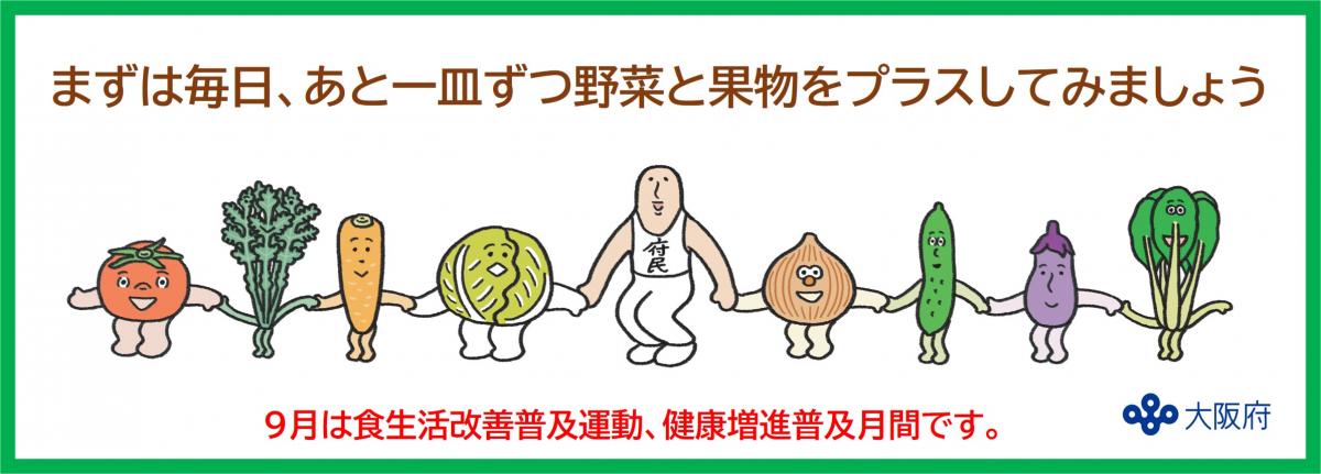 B6ハーフ