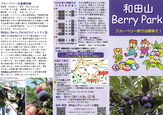 berrypark