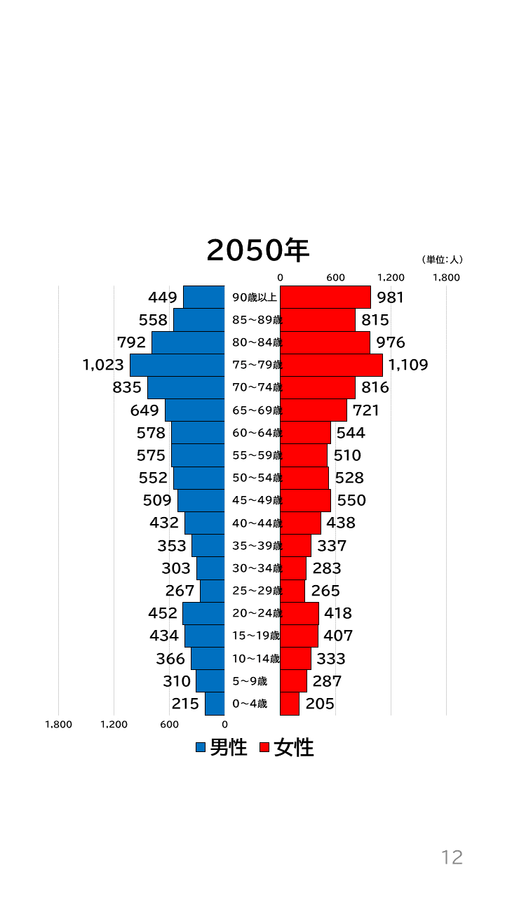 地域の未来予測(南河内2町1村)P12