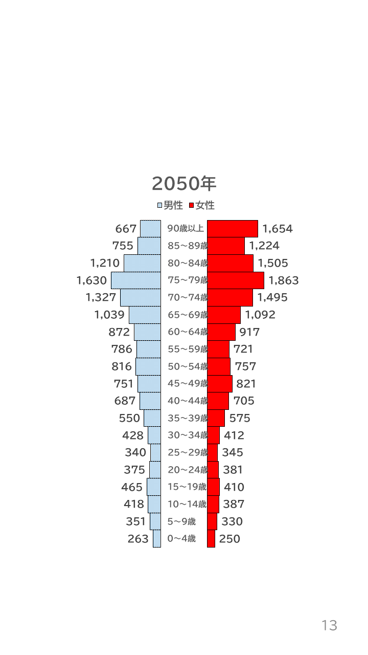 地域の未来予測(泉州南3市1町)P13