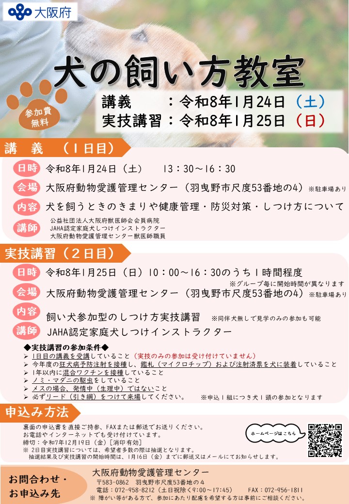 チラシ