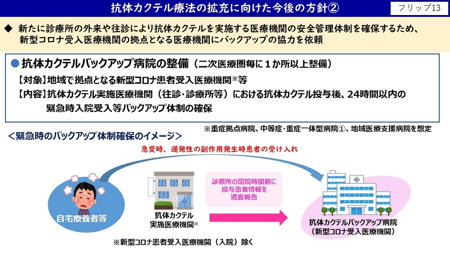 フリップ13