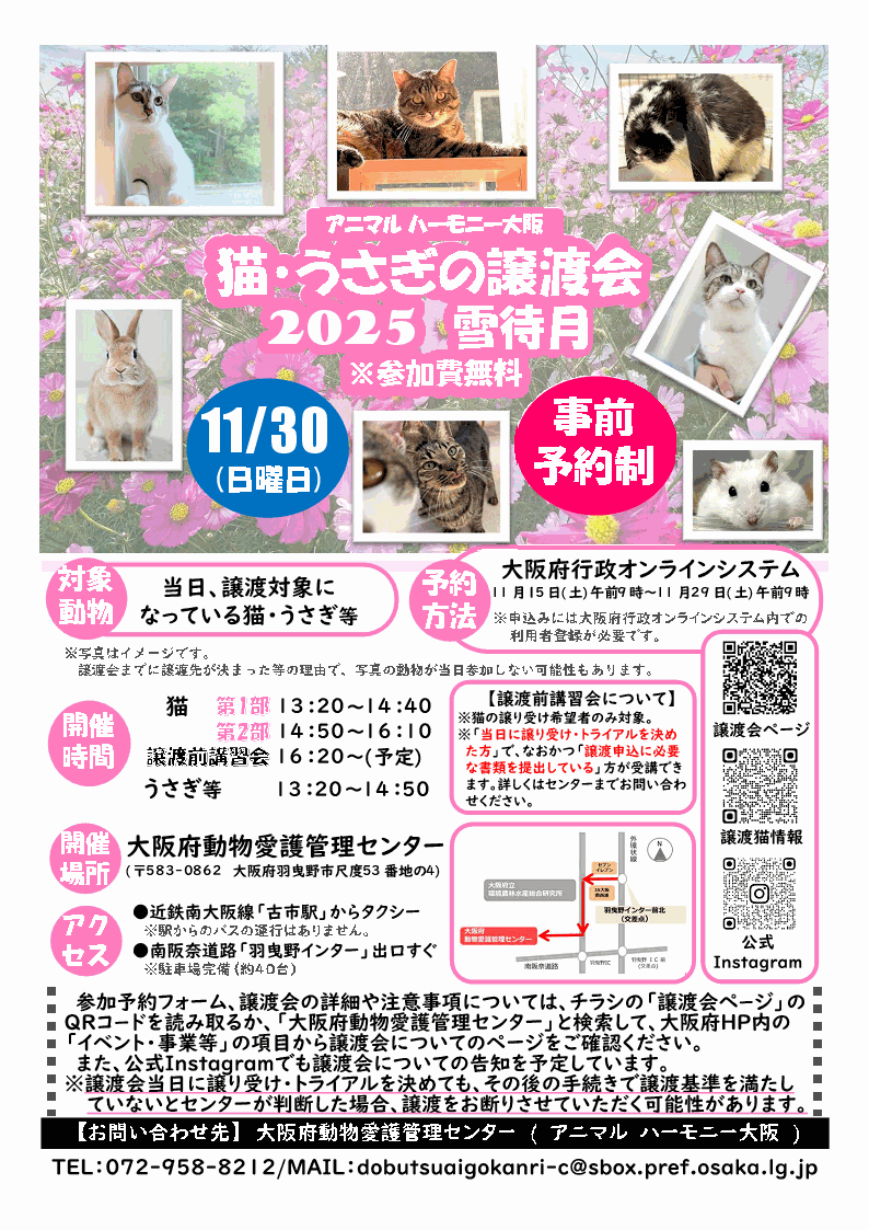 20251130nekousagijyoutokai