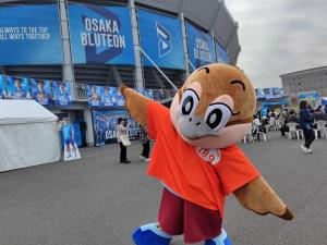 buluteon2