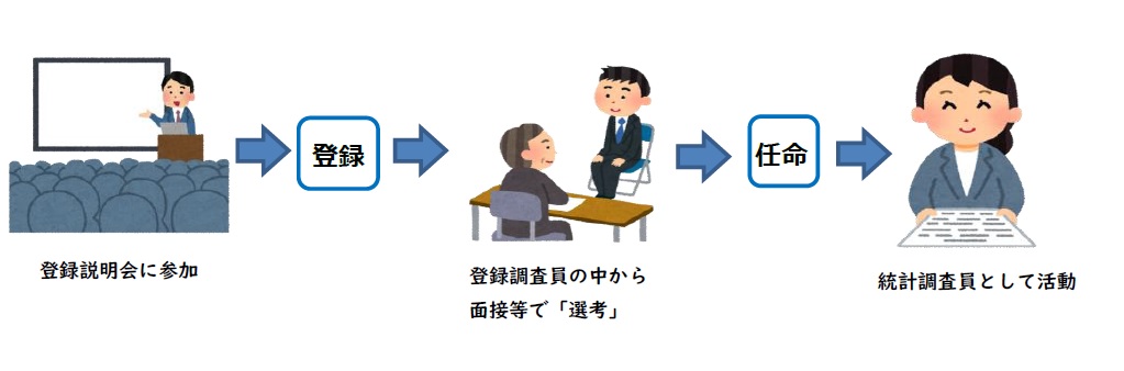 任命の流れは登録説明会に参加し、登録調査員の中から面接等で選考を行い、統計調査員として従事となります。