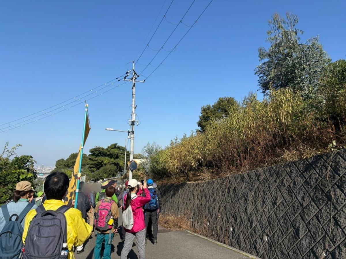 神立地区ハナモモ観察