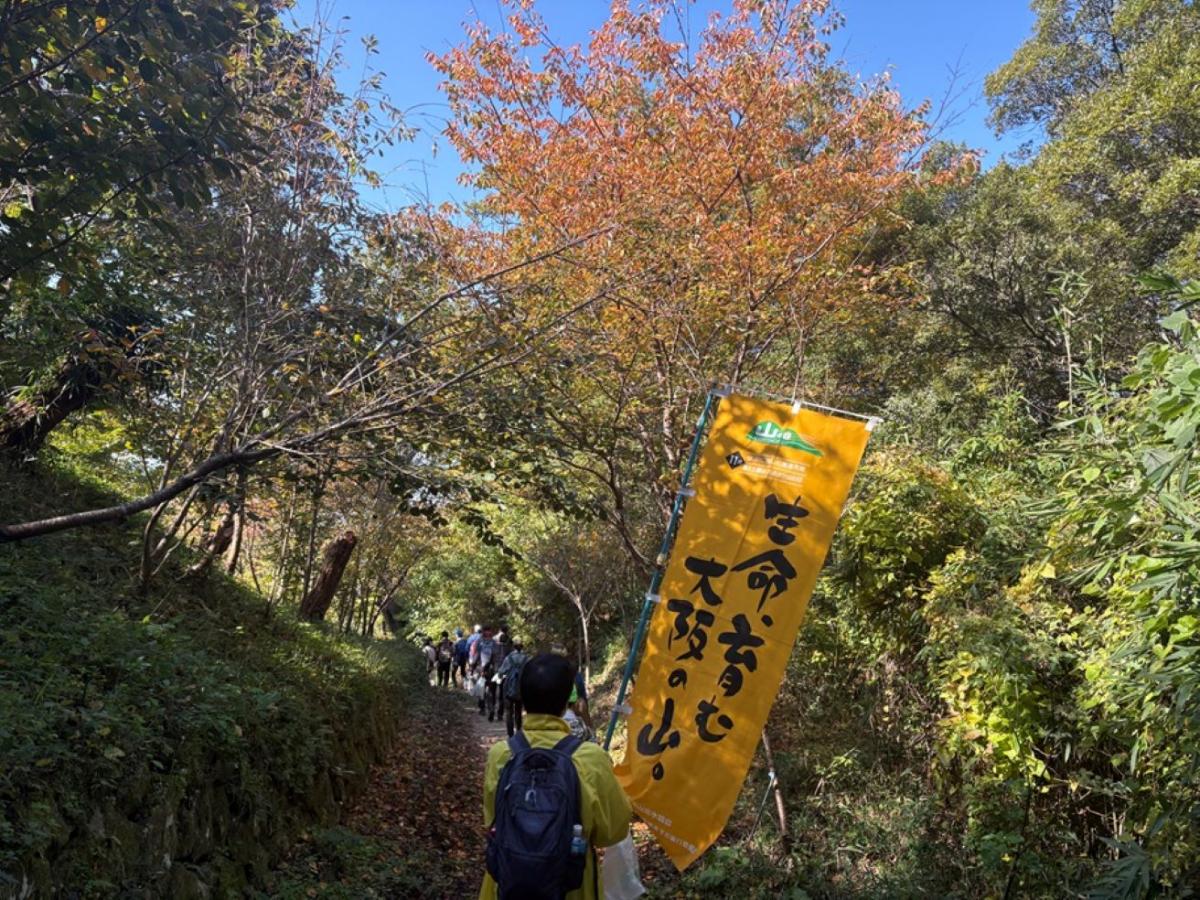下山途中の紅葉