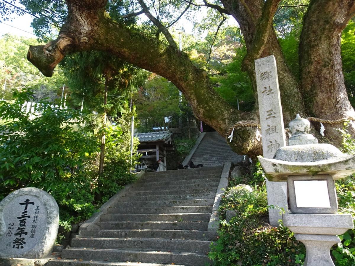 玉祖神社鳥居と長鳴鶏