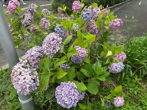 image03