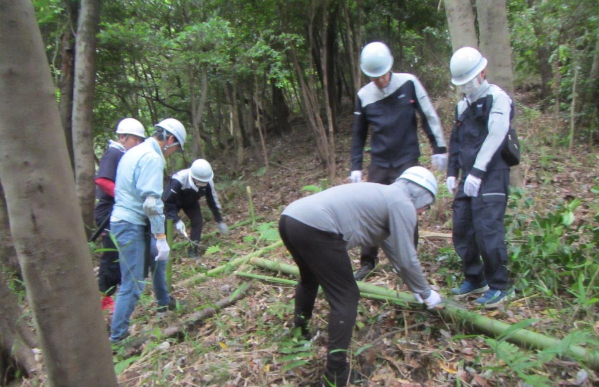 5竹整理トリミング