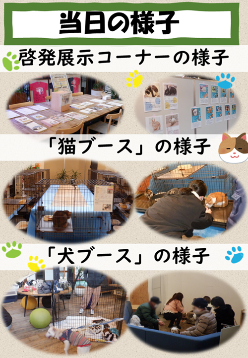 犬猫出張譲渡会の当日の様子2