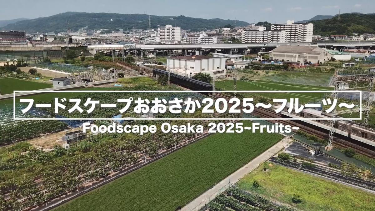 フルーツ生産風景