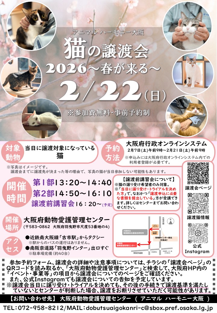 猫の譲渡会2026春が来る