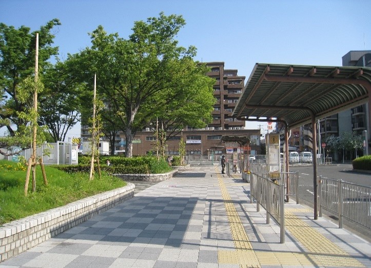 amami