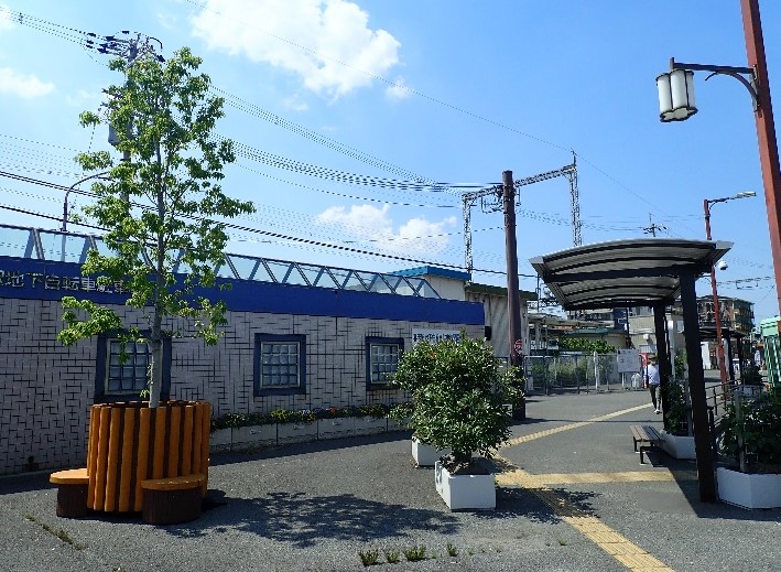 kisi