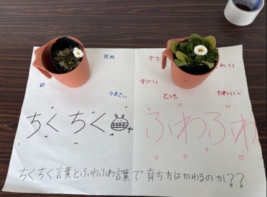 チクチクことばフワフワことば