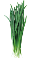 ニラ（食用）