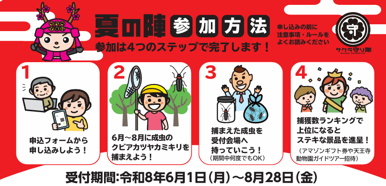 夏の陣への参加方法