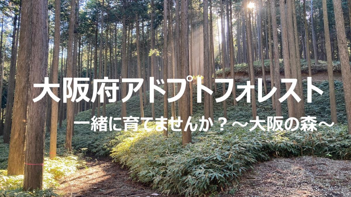 ホームページ