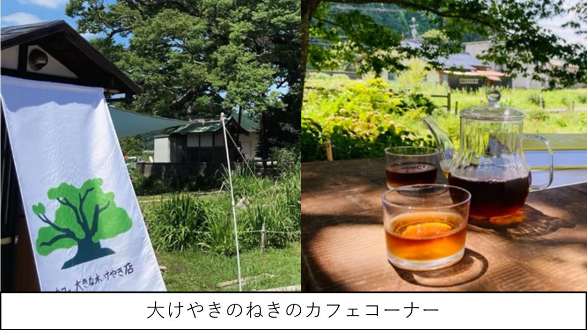 keyaki4