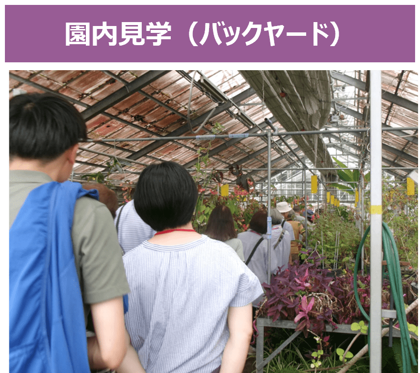 園内見学(バックヤード)