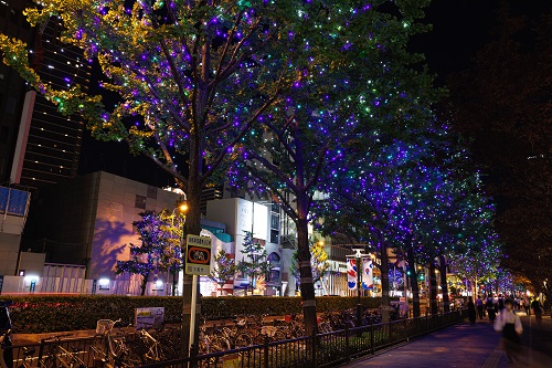 ブルー×ホワイト