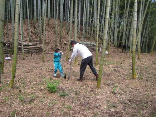 子どもも