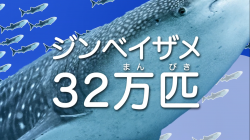 大量発生