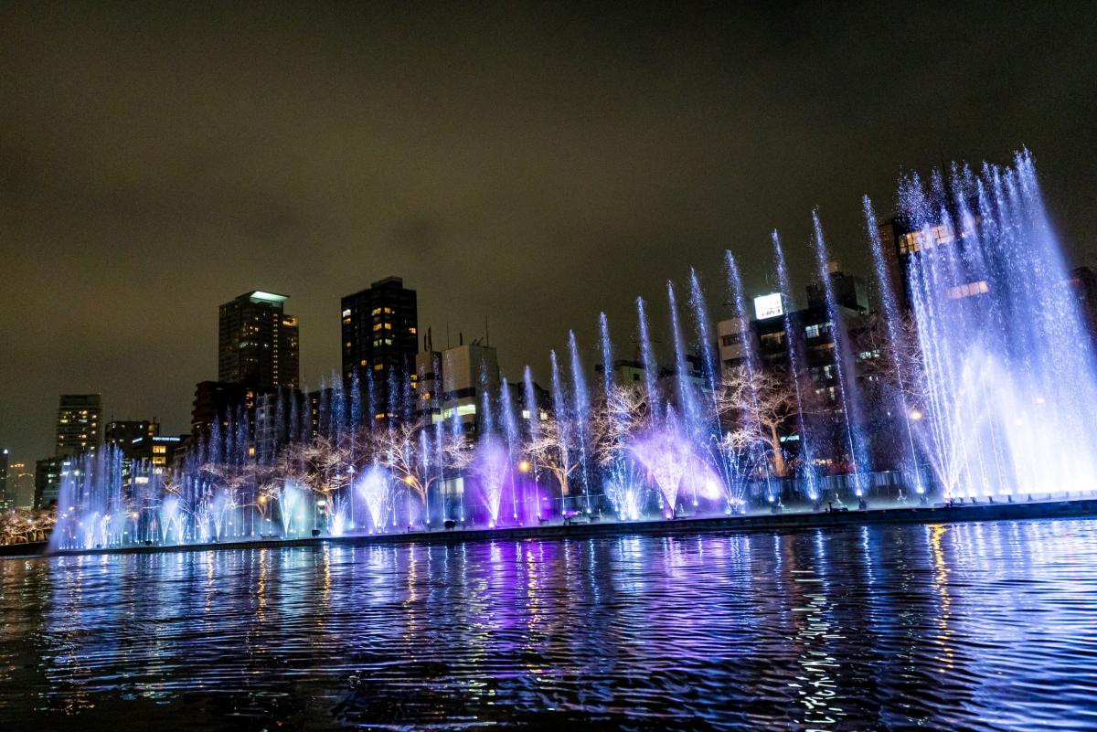 ウォーターショー