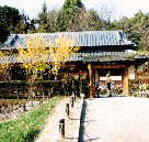 錦織公園の写真1
