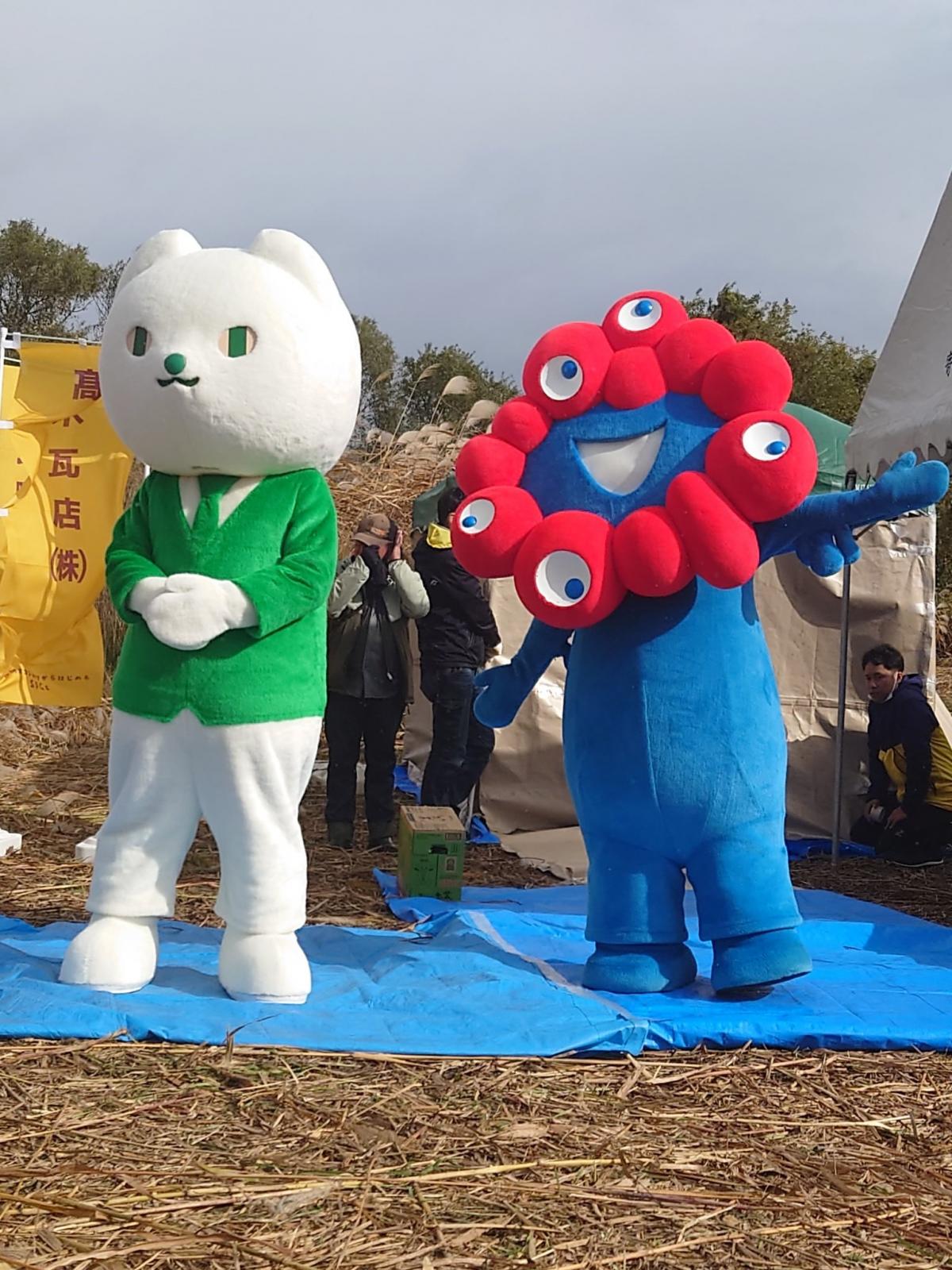 びわ湖ヨシ刈りイベントの様子