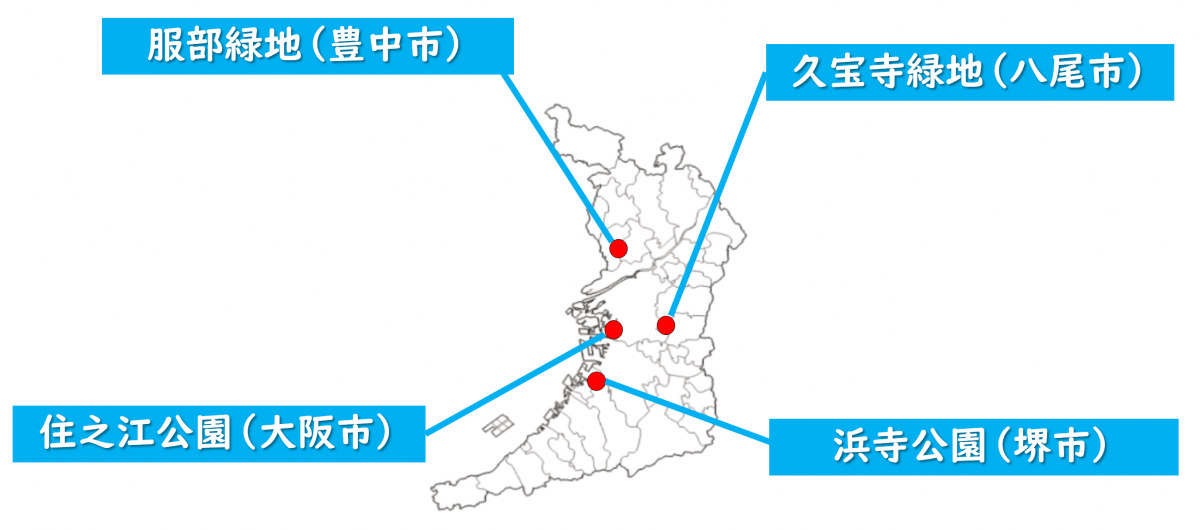 プール