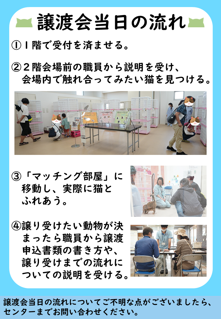 譲渡会当日の流れ