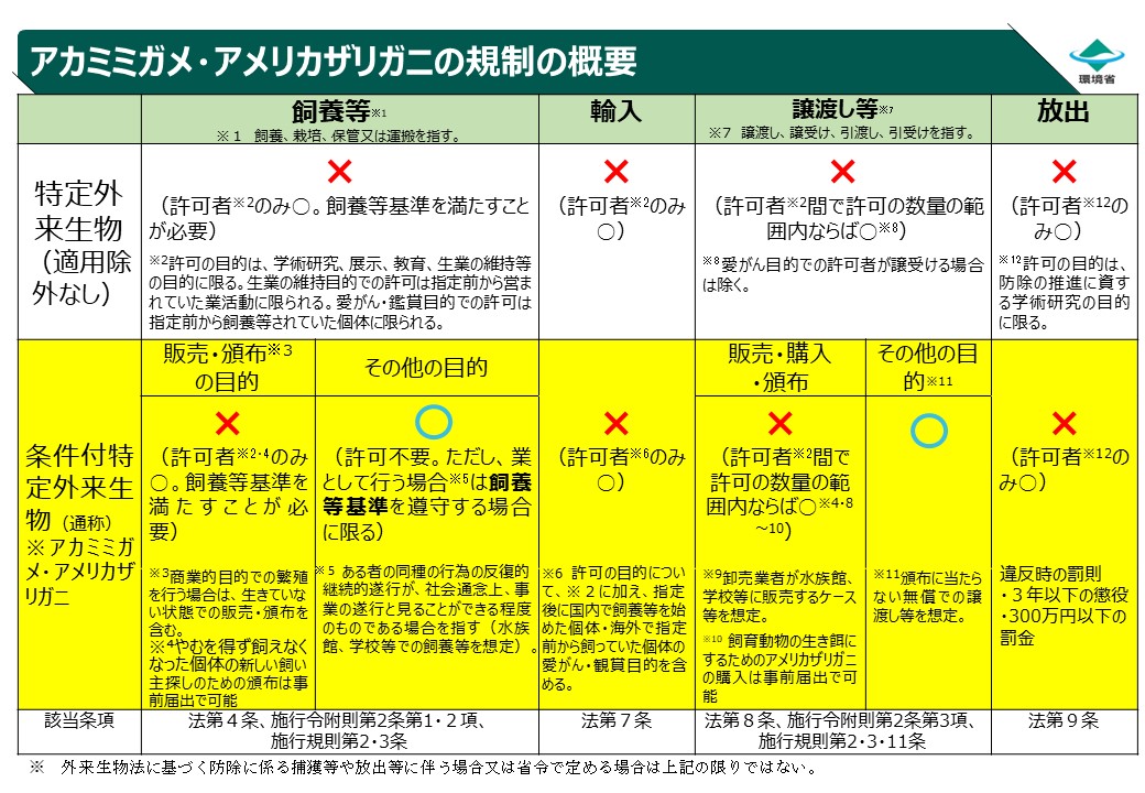 規制の概要