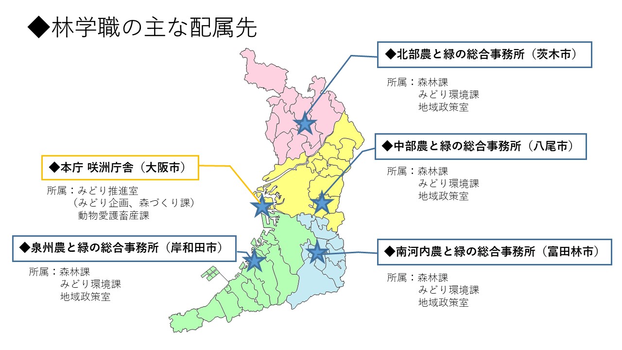林学職の主な配属先