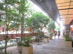 景観に配慮した都市緑化2