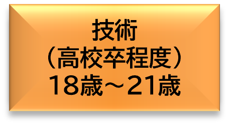 技術（高校卒程度）