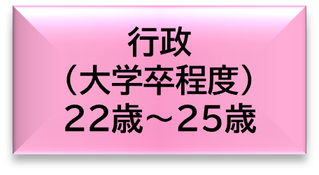 行政（大学卒程度）