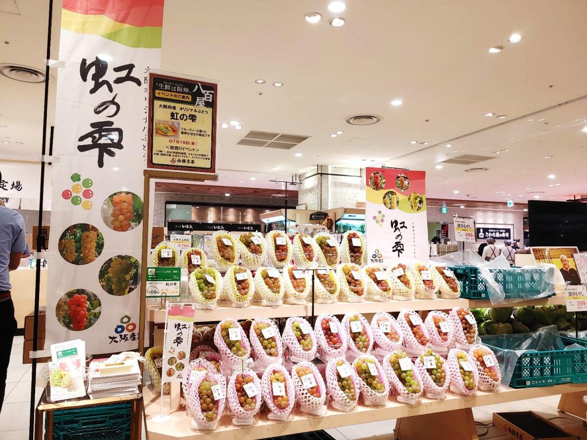 昨年度のイベントの写真