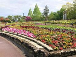 花の文化園