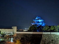 岸和田城 ブルーライトアップ画像