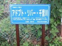 kannbann_1