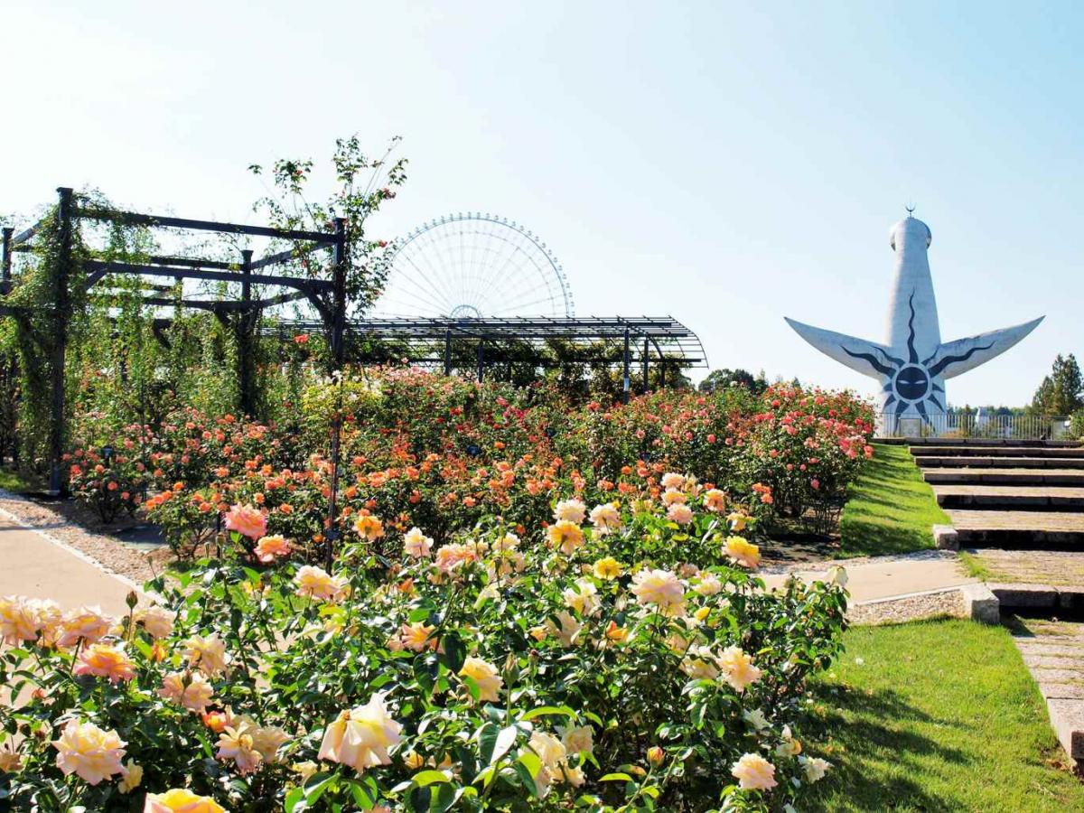 rosefesta