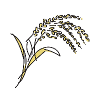 稲穂のイラスト