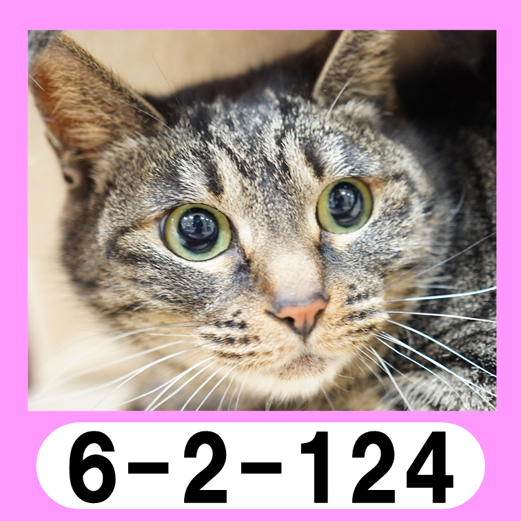 6-2-124