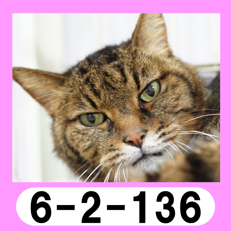 6-2-136