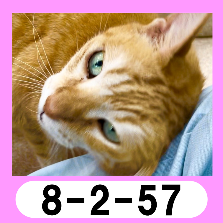 57