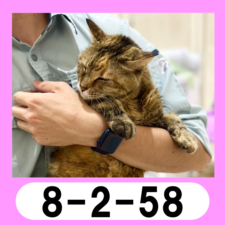 58