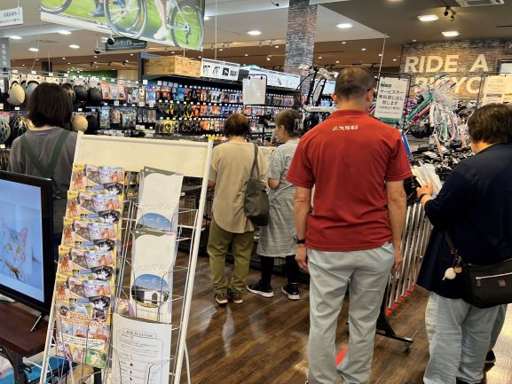 くみまち保護猫譲渡会